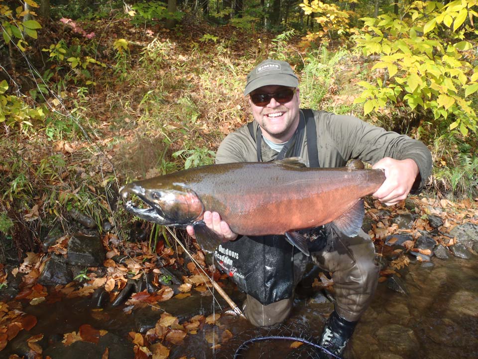 Coho salmon fishing Salmon River, Pulaski, New York