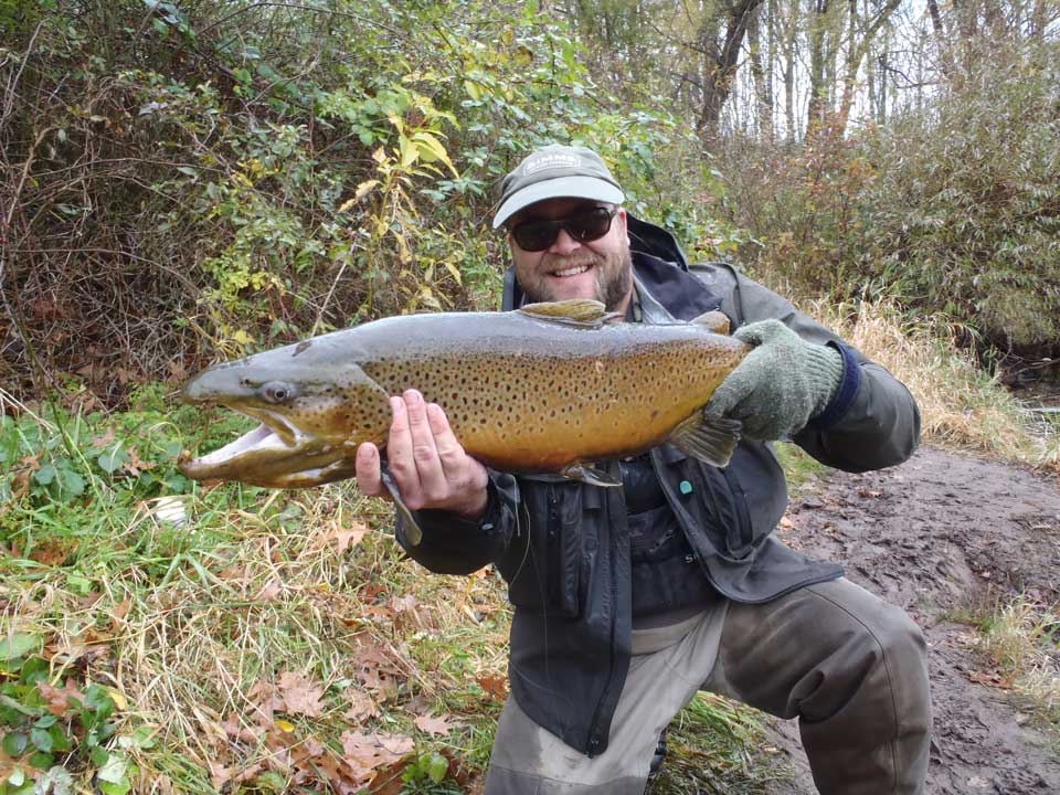 Brown trout fishing Salmon River, New York